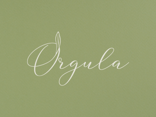 Orgula: Logo i vizualni identitet