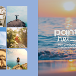 Što je MONTE Full Branding paket?