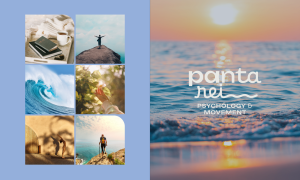Što je MONTE Full Branding paket?